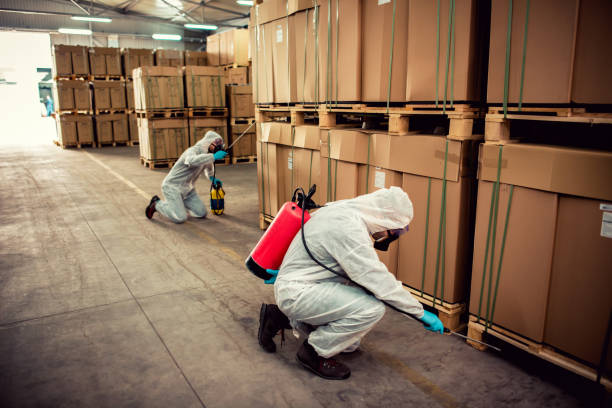 Best Ant Control Services  in East Basin, UT