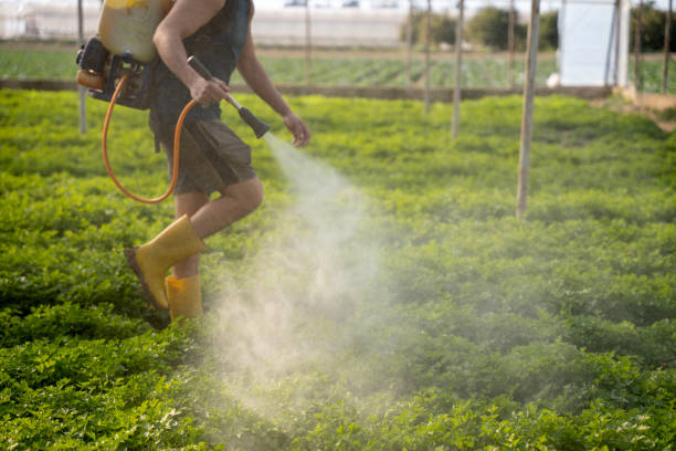 Wasp Removal Services in East Basin, UT