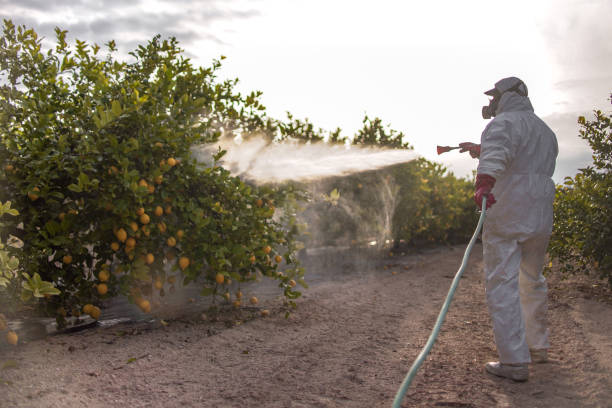 Pest Control for Restaurants in East Basin, UT