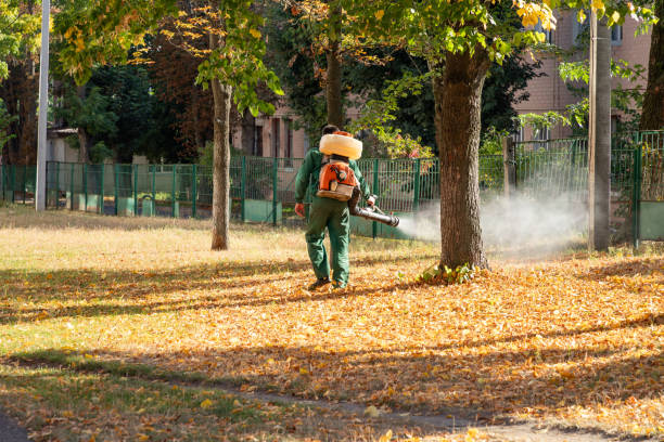 East Basin, UT Pest Control Company